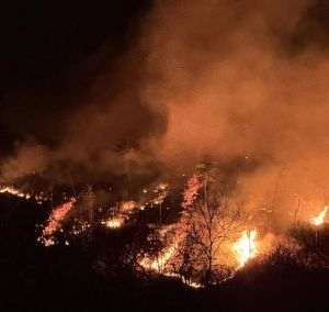 Reuters: Grecia se confruntă cu noi incendii de vegetaţie